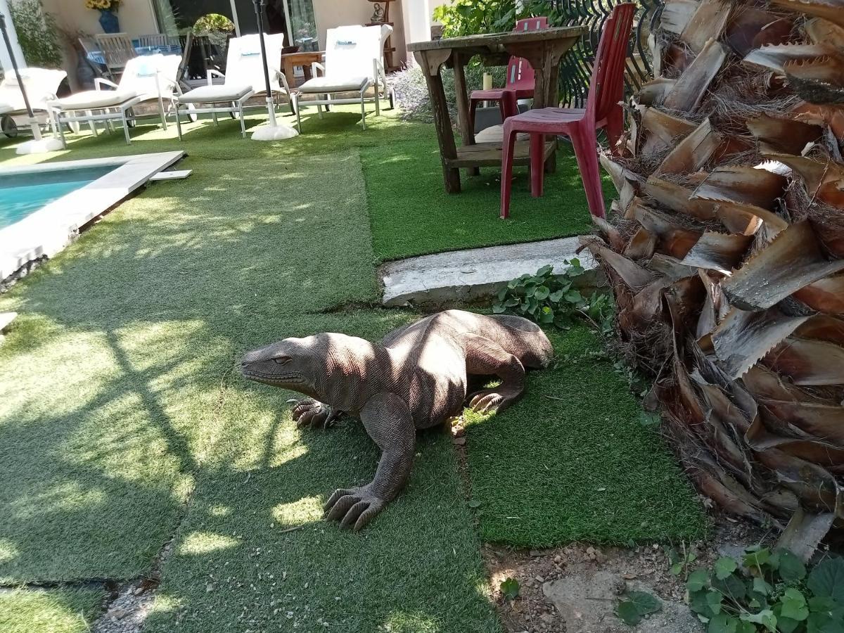 Villa La Croisette Sainte-Maxime Eksteriør bilde