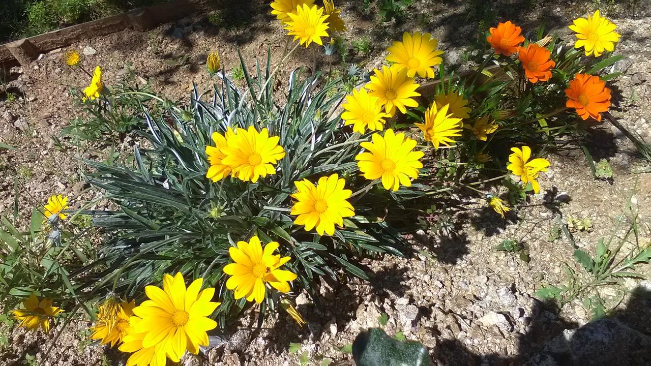 Villa La Croisette Sainte-Maxime Eksteriør bilde